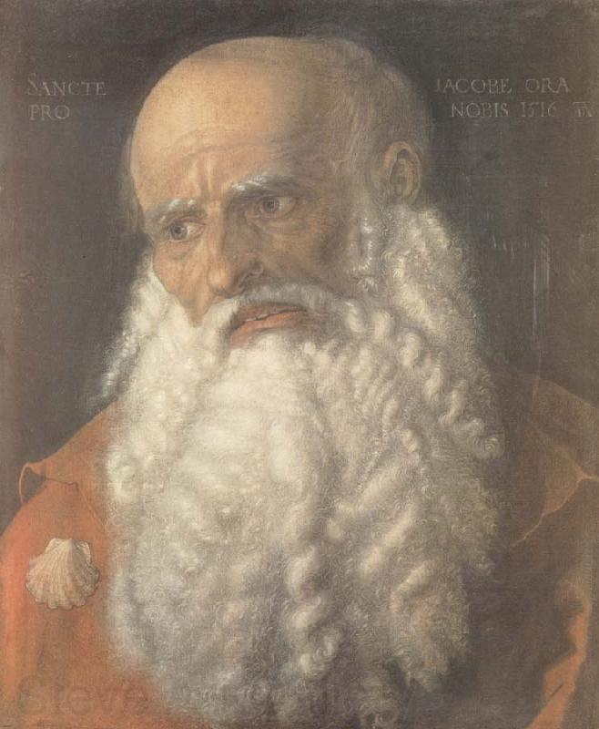 Albrecht Durer Head of the Apostle james Germany oil painting art